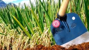 Photo: ${params.title}