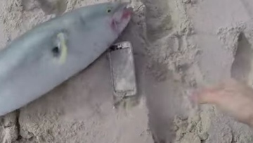 Photo: ${params.title}