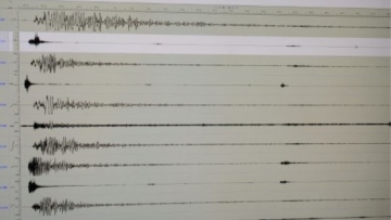 Photo: ${params.title}