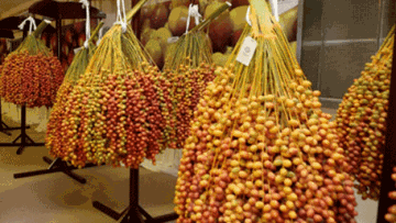 Photo: ${params.title}