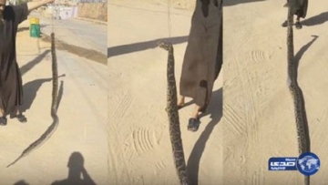 Photo: ${params.title}