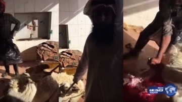 Photo: ${params.title}