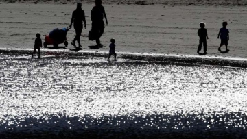 Photo: ${params.title}