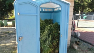 Photo: ${params.title}