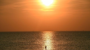 Photo: ${params.title}