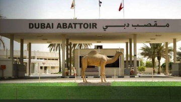 Photo: ${params.title}