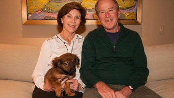 Photo: ${params.title}