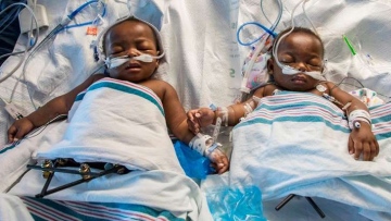 Photo: ${params.title}