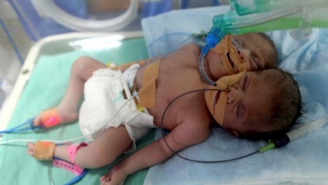 Photo: ${params.title}