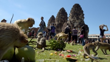 Photo: ${params.title}