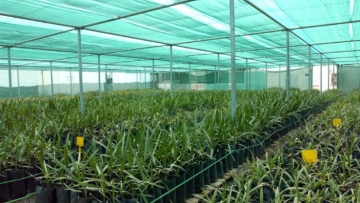 Photo: ${params.title}