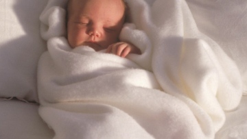 Photo: ${params.title}