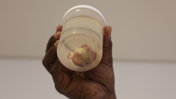 Photo: ${params.title}