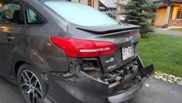 Photo: ${params.title}