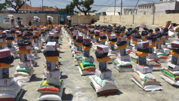 Photo: ${params.title}