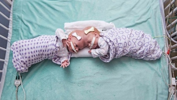 Photo: ${params.title}