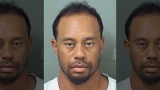 Photo: Tiger Woods pleads guilty to reckless driving, avoids jail