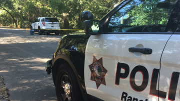 Photo: ${params.title}