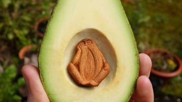 Photo: ${params.title}