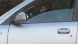 Photo: Dog honks car horn while waiting on owner