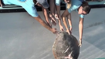 Photo: ${params.title}