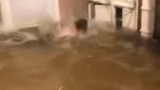 Photo: Man catches a fish with his bare hands inside his flooded home