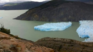 Photo: ${params.title}