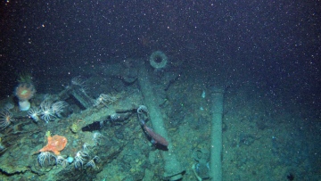 Photo: ${params.title}