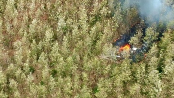 Photo: ${params.title}