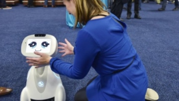 Photo: ${params.title}