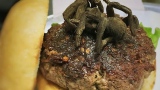 Photo: Diner serves up tarantula burger