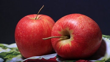 Photo: ${params.title}