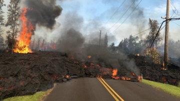 Photo: ${params.title}