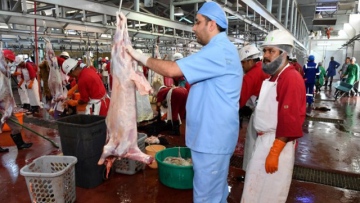 Photo: ${params.title}