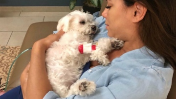 Photo: ${params.title}