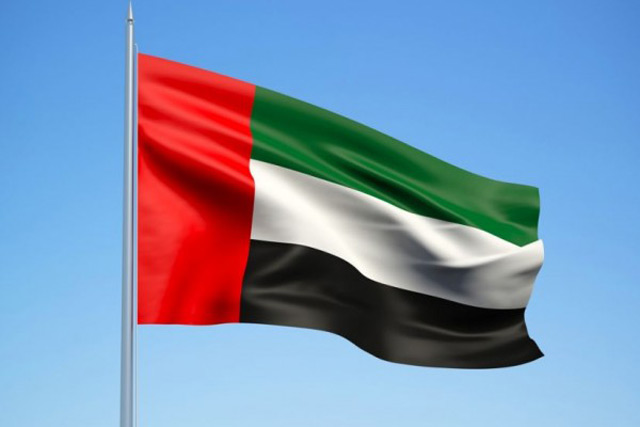 UAE discusses ways to improve functions of UN Security Council in light of  COVID-19 - News - Emirates - Emirates24|7