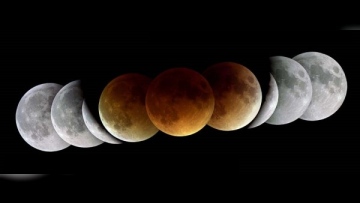 Photo: ${params.title}