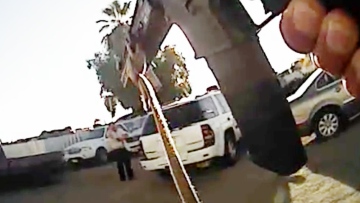 Photo: ${params.title}