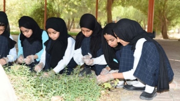 Photo: ${params.title}