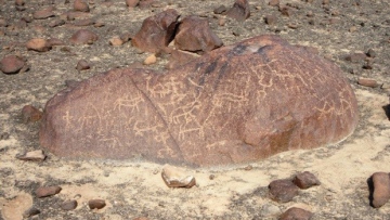 Photo: ${params.title}