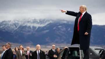 Photo: ${params.title}