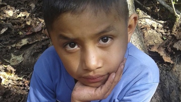 Photo: ${params.title}