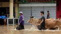 Photo: Death toll in landslides, floods in Philippines climbs to 122