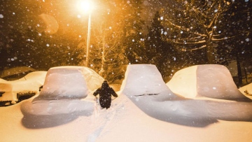 Photo: ${params.title}