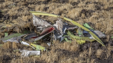 Photo: ${params.title}