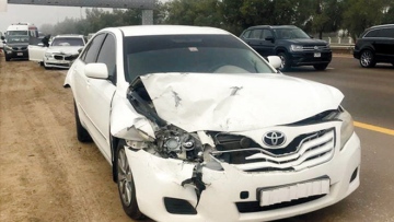 Photo: ${params.title}