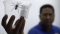 Photo: Creepy cargo: Philippines seizes 757 tarantulas from Poland