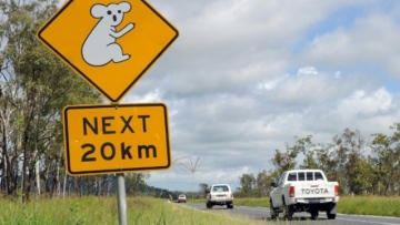 Photo: ${params.title}