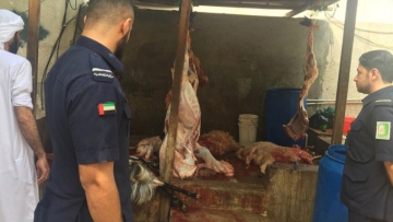 Photo: ${params.title}