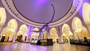 Photo: ${params.title}